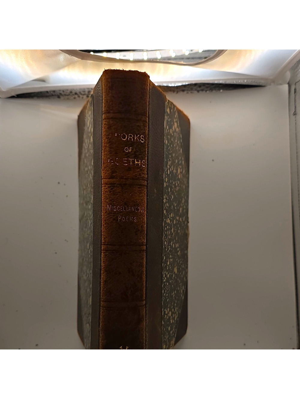Johann Goethe Works: Poems Carlyle Edition Illus Limited Leather NY 1898